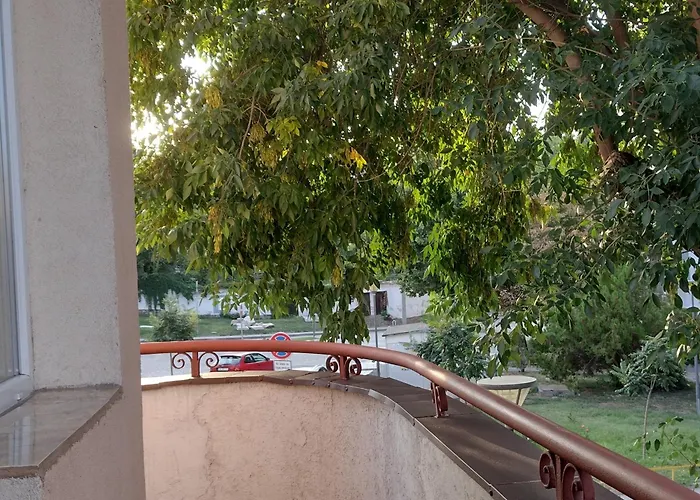 东门旅舍 招待所 *